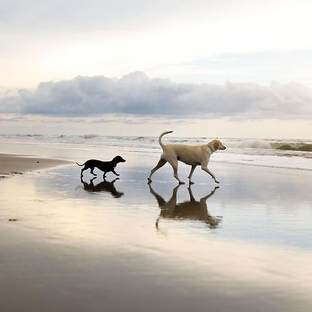 Spoonbill Cottage Filey Zewnętrze zdjęcie