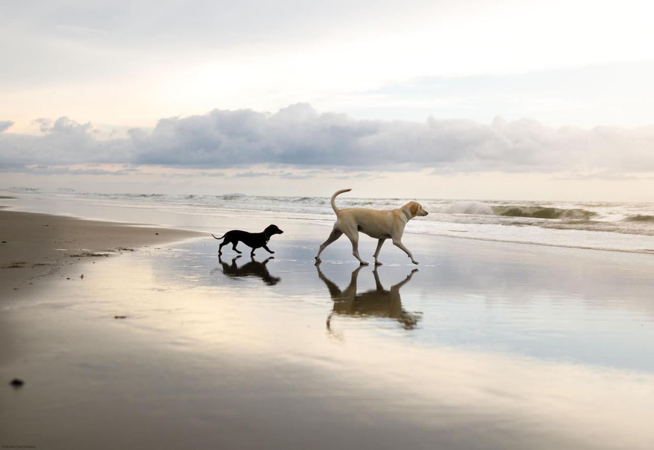 Spoonbill Cottage Filey Zewnętrze zdjęcie